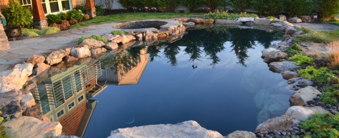 Using Pool and Pond Equipment Together: