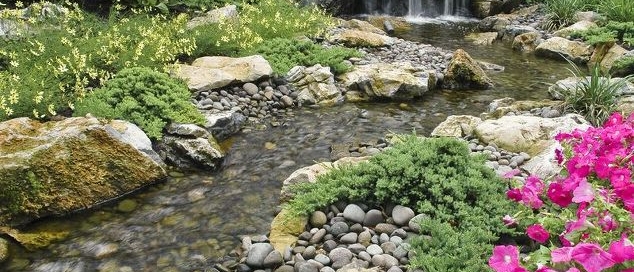 Eco-Friendly Water Features: