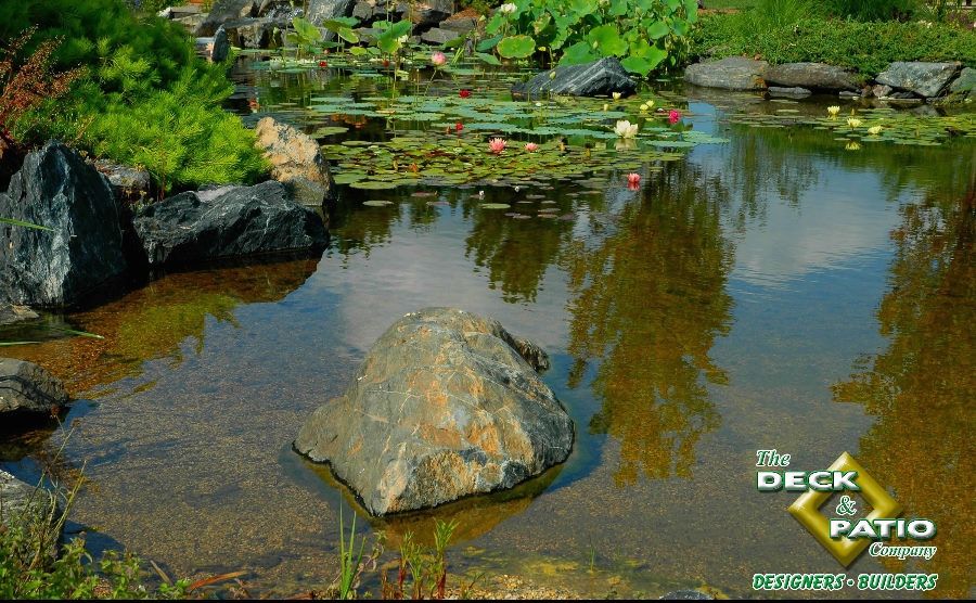 A Pond Monet Would Love: 