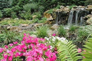 Sustainable Water Features