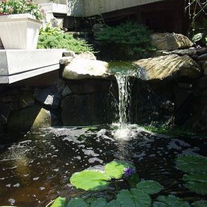 Micro Pond by Deck and Patio