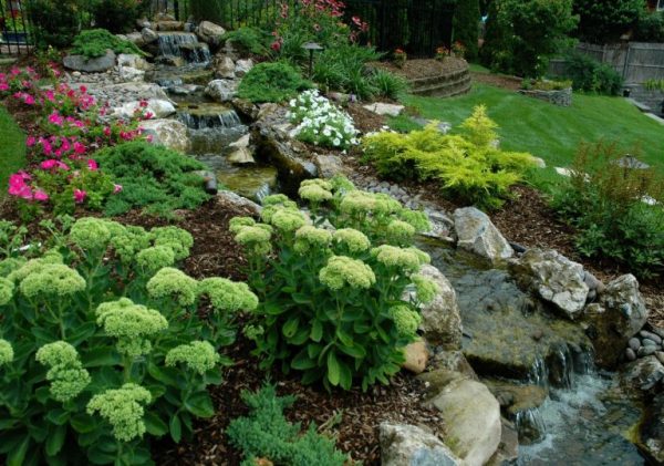 Backyard Stream with Moss Rock (Long Island/NY):