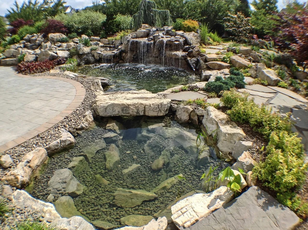 Clear-water koi pond with rock bridges beside a paver patio