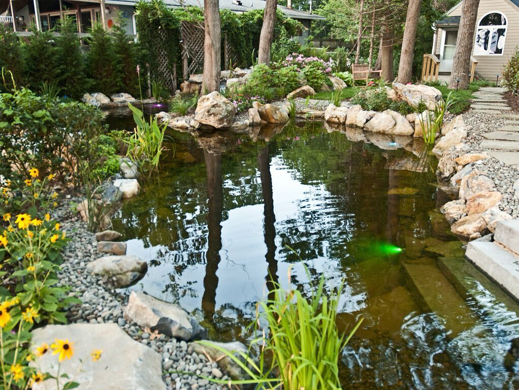 Backyard Water Features/Natural Biological Filtration: