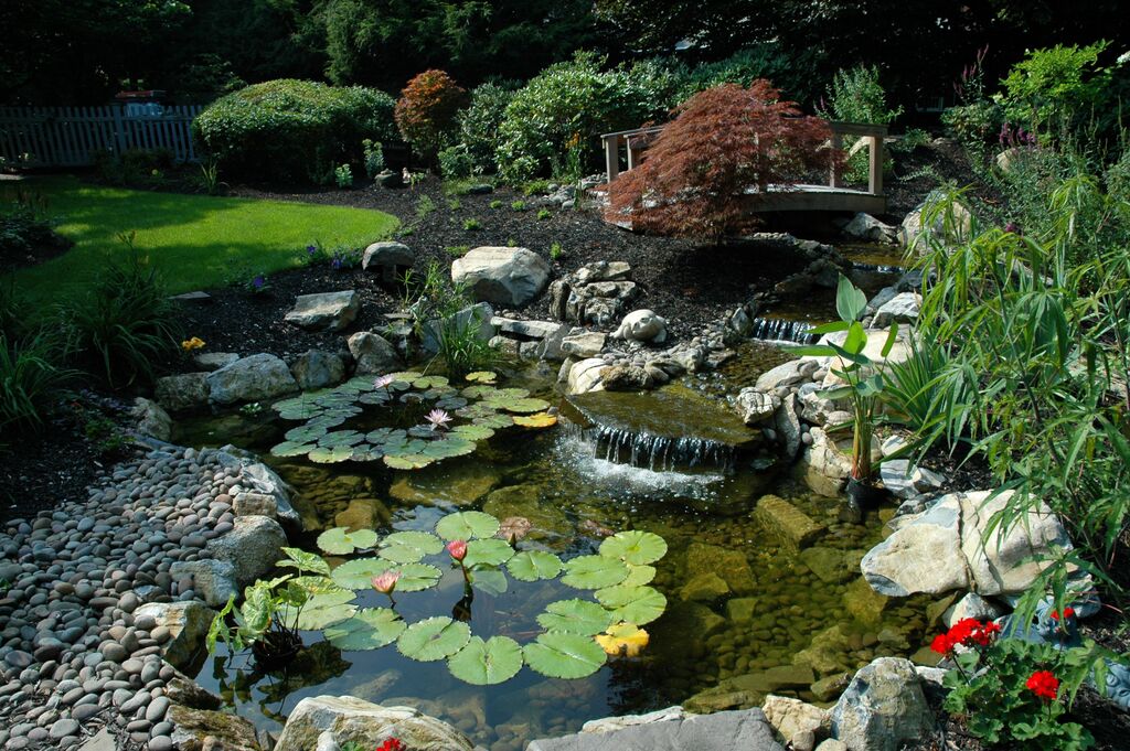 Beautiful Backyard Water Features: 