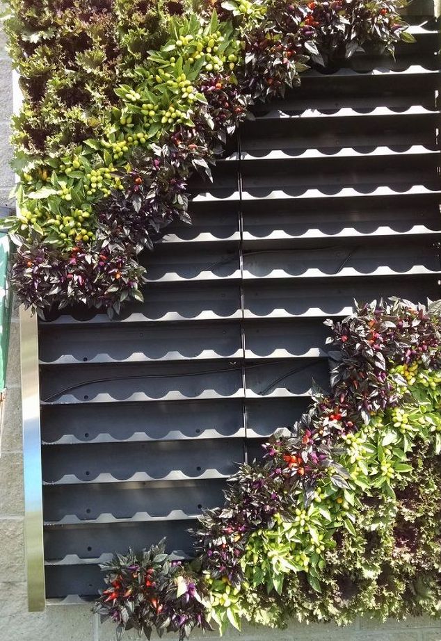 One design idea that enlivens both interior and exterior space with real flowers is the living wall. Deck and Patio’s Marc Wiener recently installed on a backyard wall in busy New York City. 