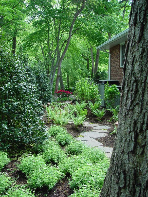 For these clients, Deck and Patio created a walk-through private woodland path for quiet moments of contemplation when strolling from one area to another.