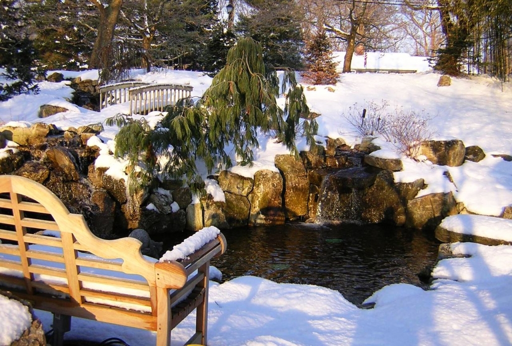 Ponds in Winter: 
