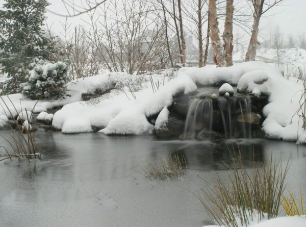 Pond Waterfalls in Winter: (Photo/Aquascapes Inc.)