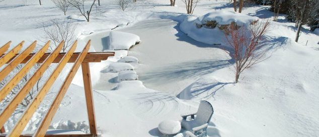 Winter Backyard Pond (Long Island/NY):