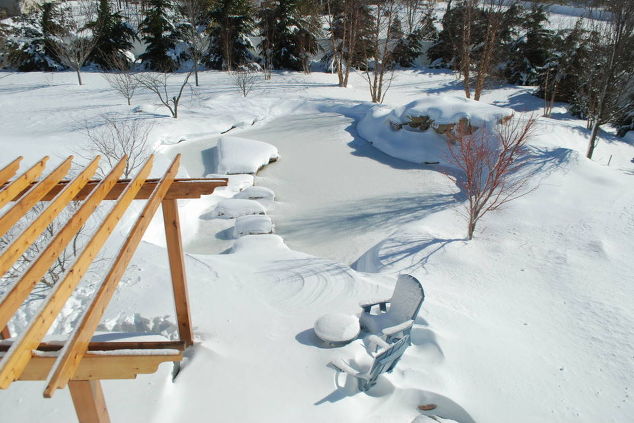 Winter Backyard Pond (Long Island/NY): 