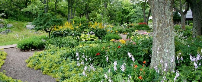 The Healing Benefits of a Garden: