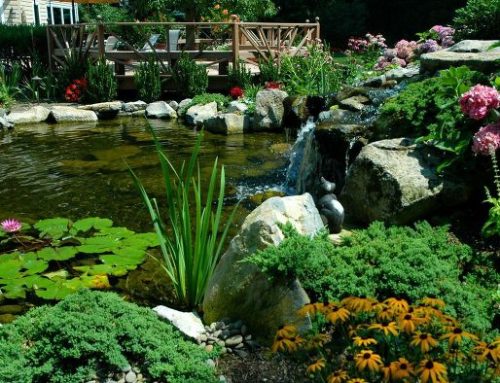 Stepping Stones Help Make the Most of Your Backyard 