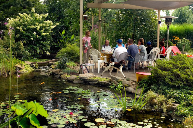 Dining Al Fresco By a Pond: 