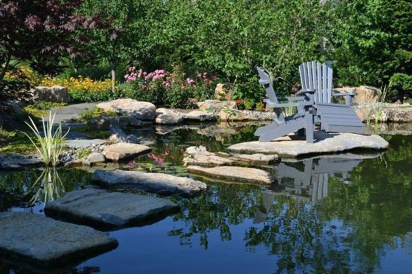 Picnicking "In" a Backyard Pond: 