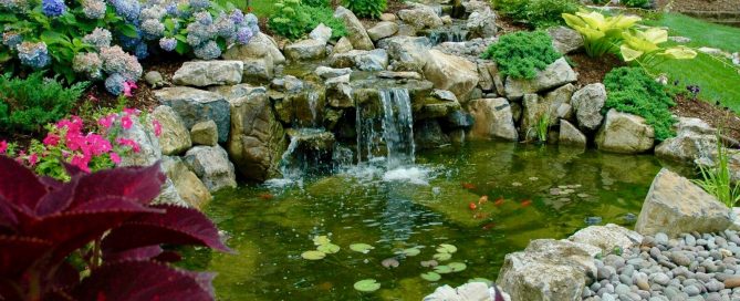 Free-form Pond and Stream: