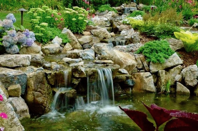 Pondscapes are Beautiful All Year Long: 