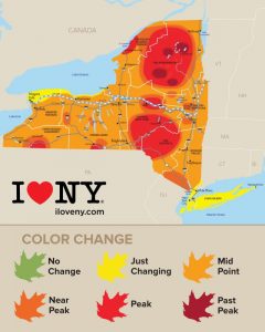  I Love NY’s Fall Foliage Chart