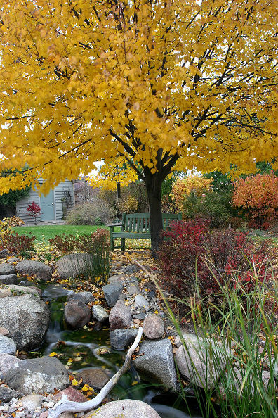 Tree Maintenance in Fall: (Photo: Aquascape, inc.) 