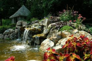(Pond designed/built by Deck and Patio)