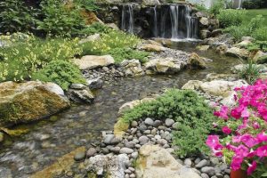 Eco-Friendly Water Features