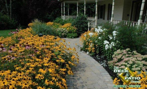As newlyweds get used to all the various responsibilities of owning a home, it helps if at least the initial front walkway plants are tough as well as beautiful. The black-eyed Susan (coneflower) is a very hardy favorite of Deck and Patio clients and was certainly used to great curb appeal here.