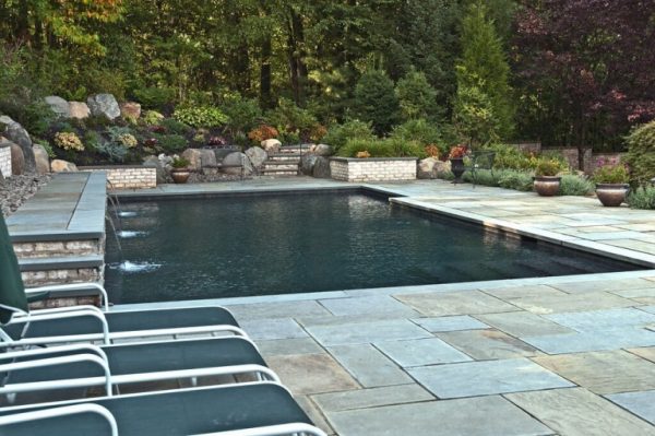 Geometric Pool with Landscaping (Long Island/NY):