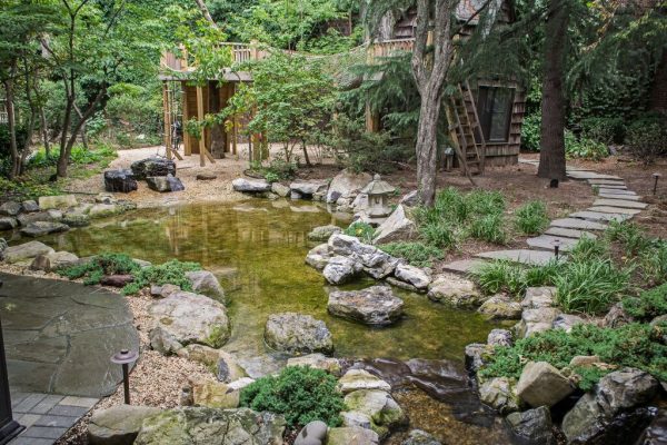 Natural Playscape with Pond: