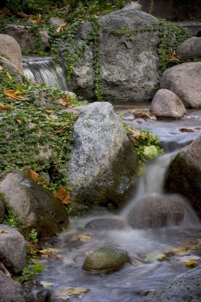 Backyard Water Features in Fall (Long Island/NY): 