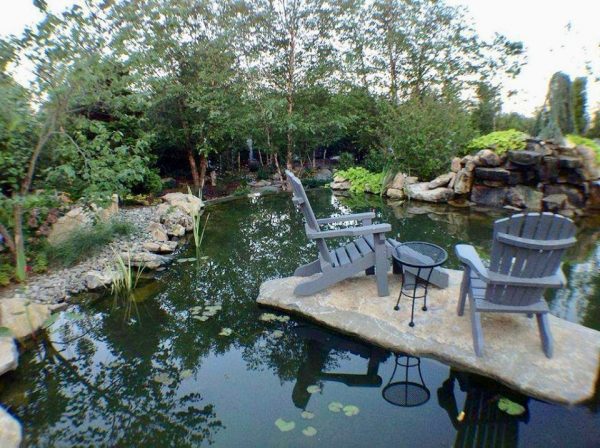 Private Island in Backyard Pond: