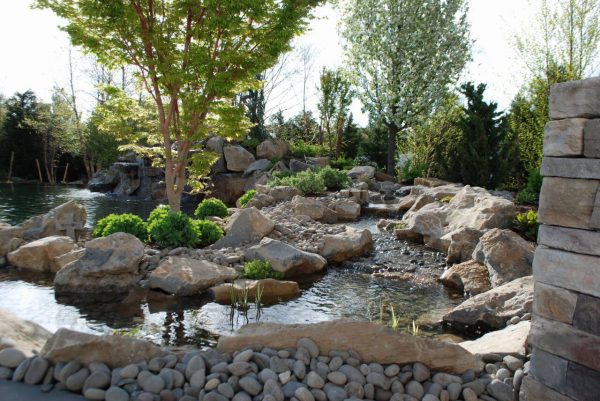 Water Feature with Stream and Landscaping: