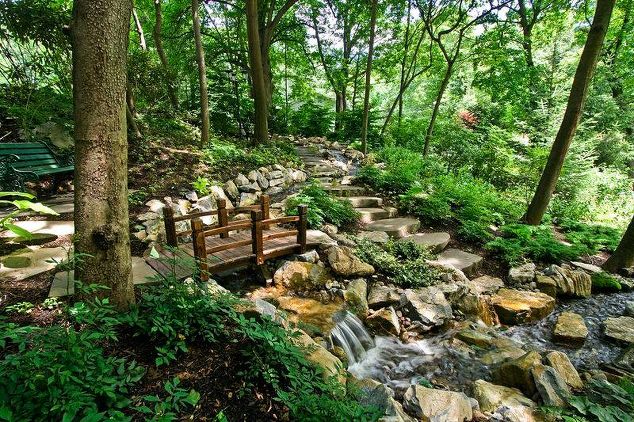 'Forest Bathing' Opportunity on Long Island, NY: 