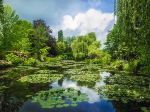 Water Gardens in Giverny, France 