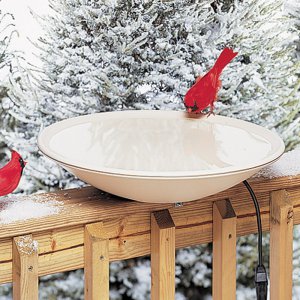 Bird Baths: