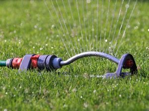 Capture Rainwater for Lawn Irrigation