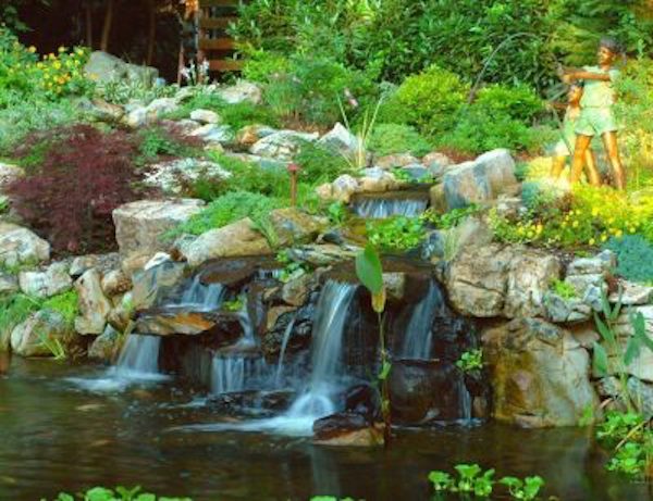 Pond Water Features: