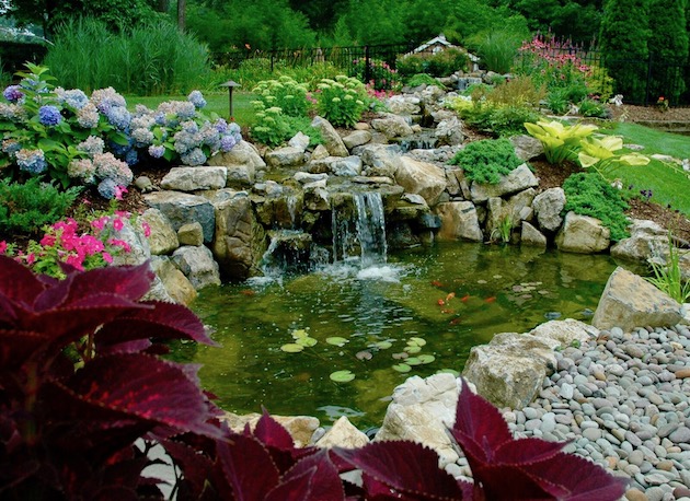 Free-form Pond and Stream: