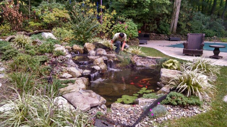 Fall Backyard Maintenance: Along with covering your swimming pool at the end of summer, it is helpful in due course to put up pond netting to collect foliage debris; nets also offer an extra layer of safety for your pond fish by protecting them from birds and other animals.