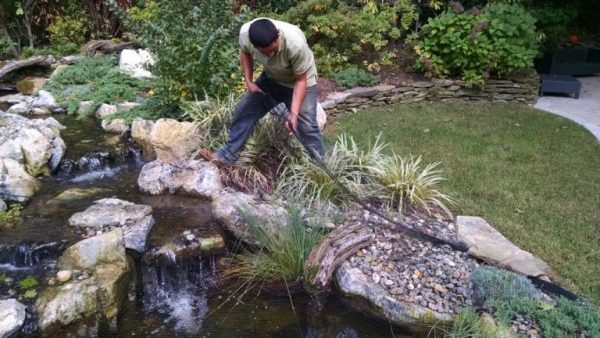 Pond Netting: Pond nets can keep out even the smallest pieces of debris such as falling leaves and pine needles. We recommend netting from Aquascape Inc. (St. Charles, IL) which includes hold-down staples to secure it.