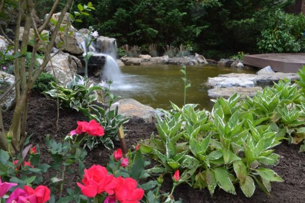 Landscaping Around Ponds and Water Features